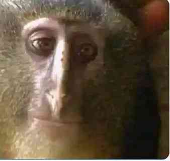 Lied to my girl that I was tested HIV positive and she asked why I took long to find out | MirrorLog